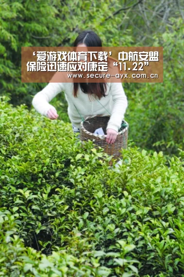 爱游戏